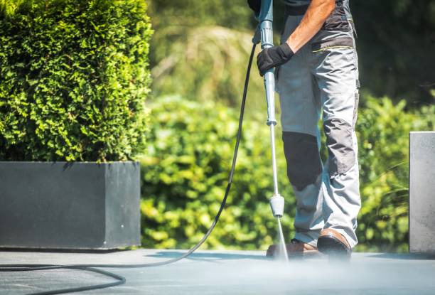 Best Solar Panel Cleaning  in Tornado, WV